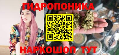 mdpv Ачхой-Мартан