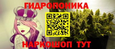 mdpv Ачхой-Мартан