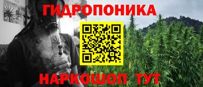 mdpv Ачхой-Мартан