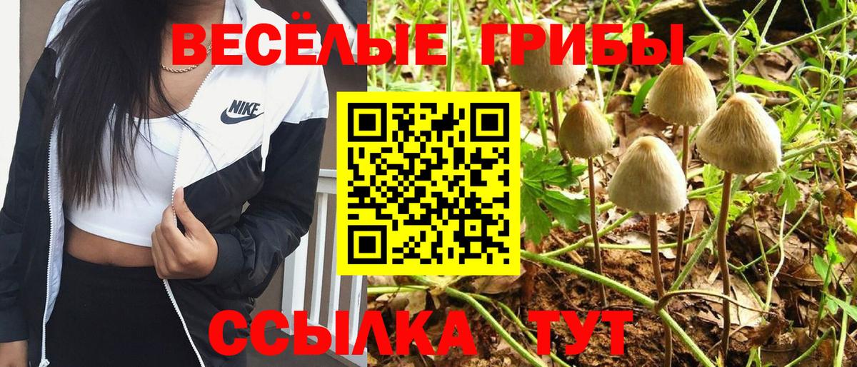 Псилоцибиновые грибы MAGIC MUSHROOMS  Вход с VPN  Подольск 
